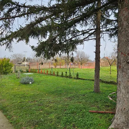 Diamond House Rent Vikendica * Beška